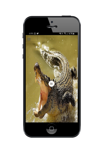 Crocodile sound Screenshot 2