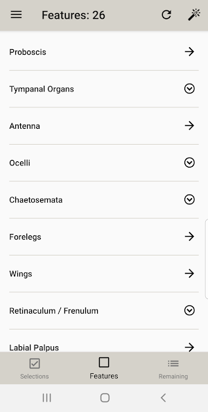 Lepidopteran Families Screenshot 2