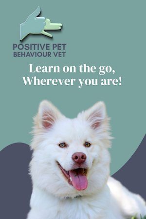 Positive Pet Behaviour Vet Screenshot 0