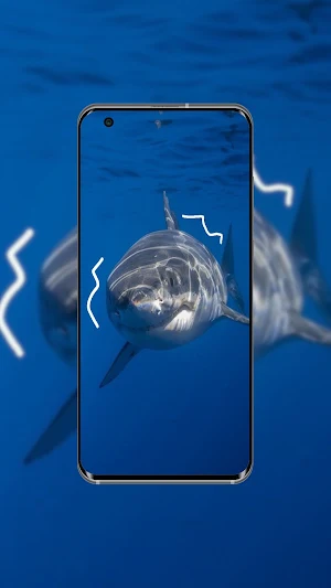 Sharks Wallpaper Screenshot 2