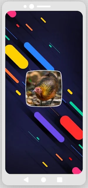 Red Junglefowl Sounds Screenshot 0