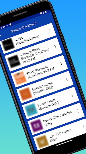 Vinyl FM Radio Sverige App SE Screenshot 3