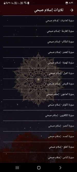 تلاوات اسلام صبحي بدون انترنت Screenshot 2
