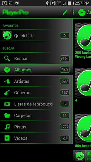 SKIN PLAYERPRO V4 GREEN ELEGANT Screenshot 3
