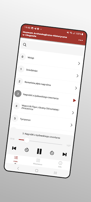Muzeum Głogów Screenshot 2