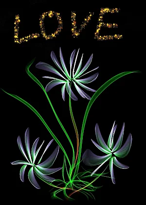Magic art Pro - Sketch, draw & paint Screenshot 3