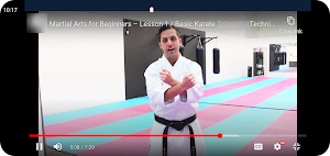 Learn Karate Screenshot 2