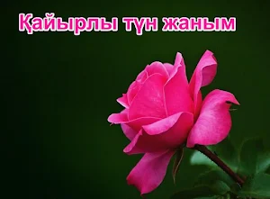 Kайырлы түн Screenshot 0