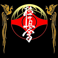 iBudokan Kyokushinkai