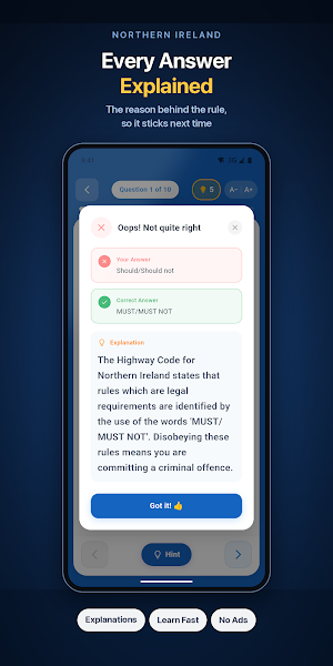 NI Driving Theory Test Screenshot 3