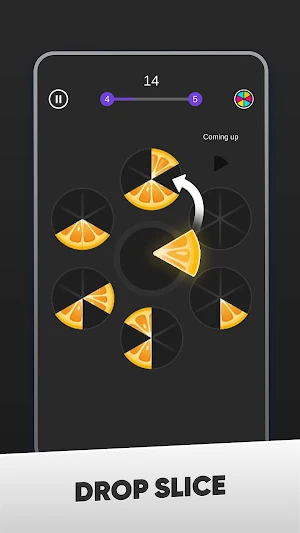 Slice Puzzle Screenshot 1
