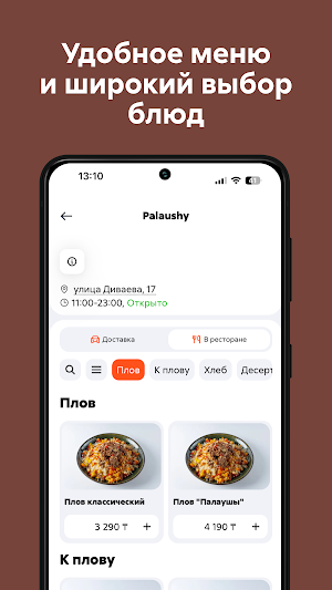 Palaushy Screenshot 1