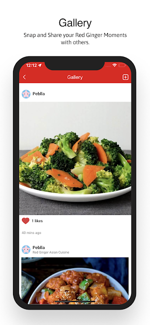 Red Ginger Asian Cuisine Screenshot 3