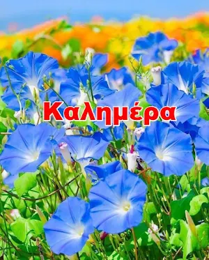 Καλημέρα Kαληνύχτα Screenshot 1