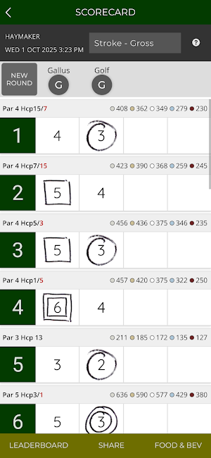 Haymaker Golf Course Screenshot 2
