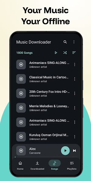 Music Downloader Screenshot 2