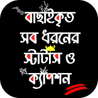 বাংলা স্ট্যাটাস ও ক্যাপশন ~SMS