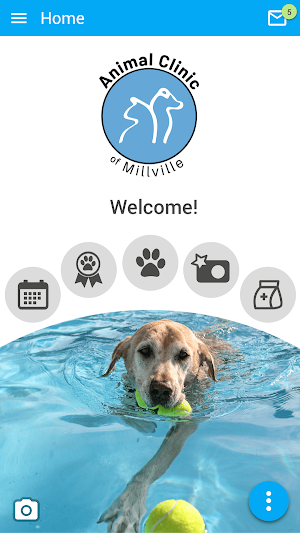 Millville Vet Screenshot 0