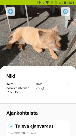 Marsu & Pupu Screenshot 2