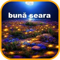 Bună Seara