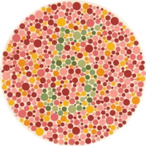 Color Blind Test Screenshot 1