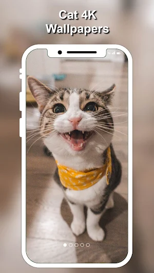 Cat & Cute Kittens Wallpapers 4K Screenshot 3