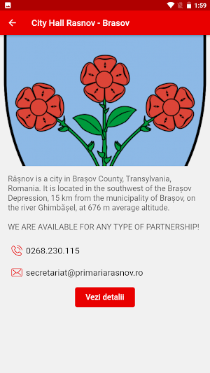 Romanian City Halls Screenshot 2