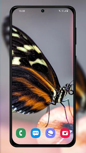 Butterfly wallpaper background Screenshot 3