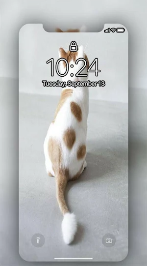 MIAW WALLPAPERS CATS Screenshot 3