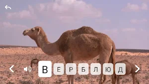 Алфавит для детей - Космо Панда Screenshot 1