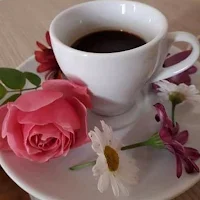 Hermosos Saludos Diarios