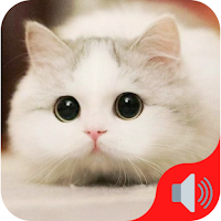 Animal sounds in nature