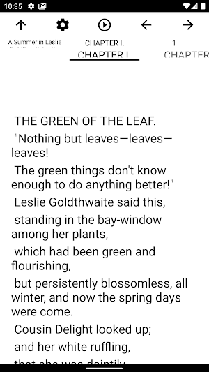 Book, A Summer in Leslie Goldthwaite's Life. Screenshot 1