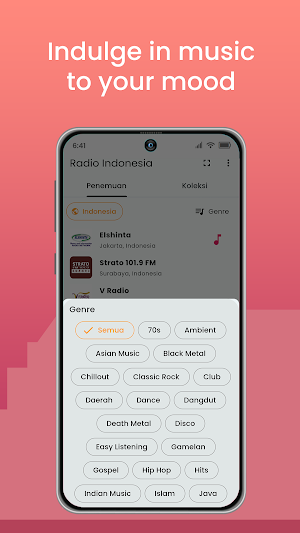 Radio Indonesia Screenshot 2