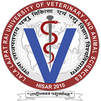Luvas Student