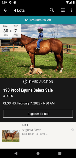 190 Proof Equine Screenshot 1