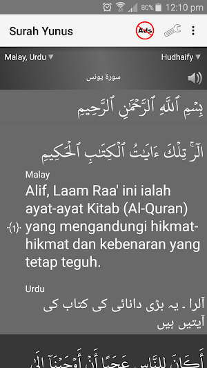 Surah Yunus - سورة يونس Screenshot 1