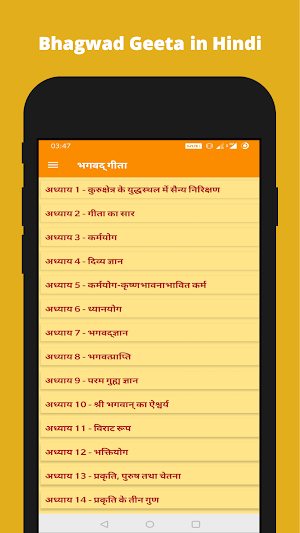 Bhagavad Gita in Hindi Screenshot 0