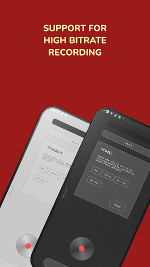 My Pocket Audio Recorder Screenshot 2