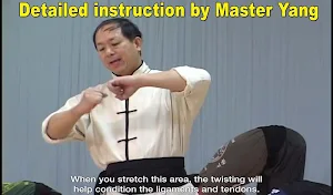 Shaolin Kung Fu w Subtitles Screenshot 1