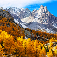 Nature Wallpapers