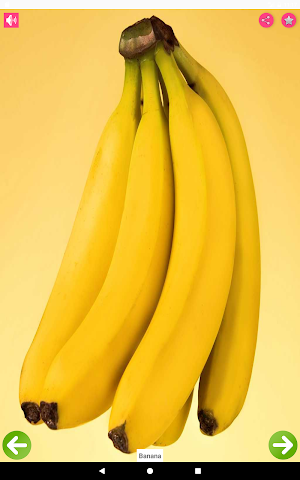 Fruits Name with Pictures Screenshot 1