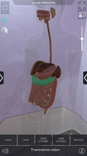 Ar Human Anatomy Screenshot 3