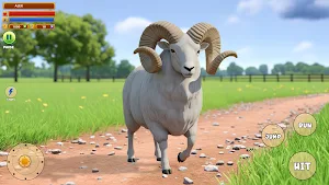 Sheep Fun Animal games Screenshot 3