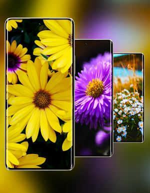 Realme 10 Pro Plus Wallpaper Screenshot 1