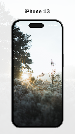 iphone wallpaper 4k Screenshot 3