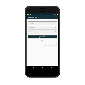 Raja Travels Screenshot 2