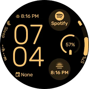 Polar - Wear OS Watchface Screenshot 3