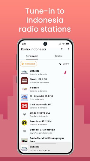 Radio Indonesia Screenshot 1