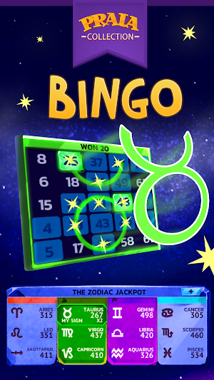 Video Bingo Malibu Screenshot 2